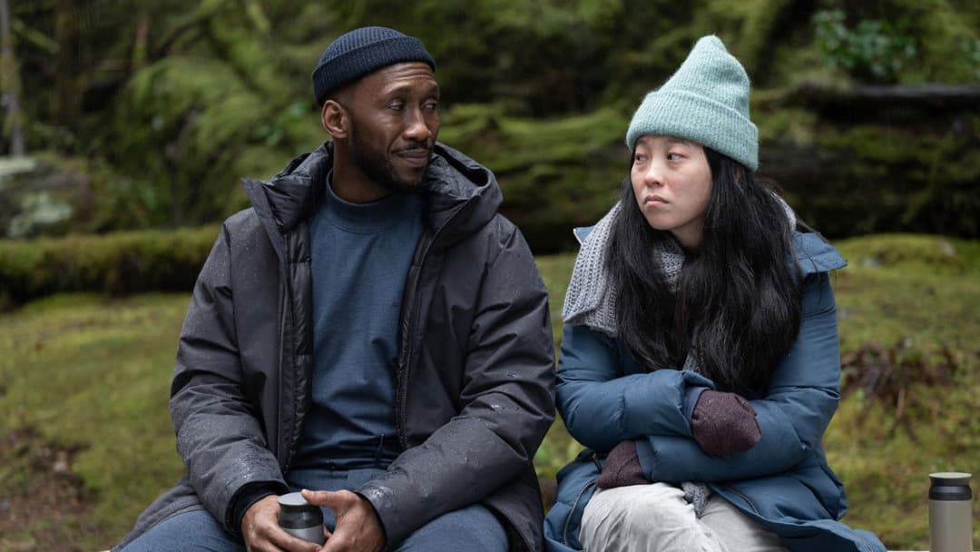 Schwanengesang backdrop 8