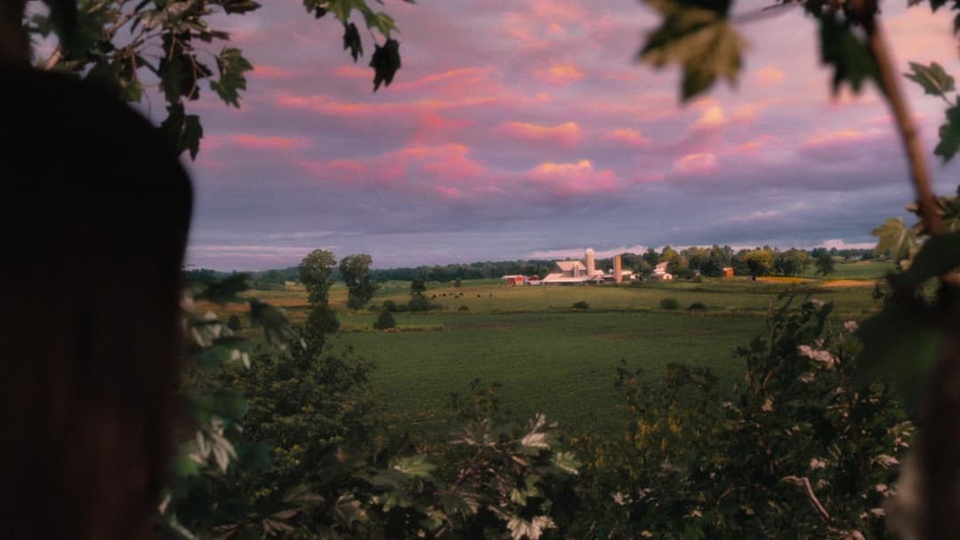 Verliebt und ausgeflippt backdrop 11