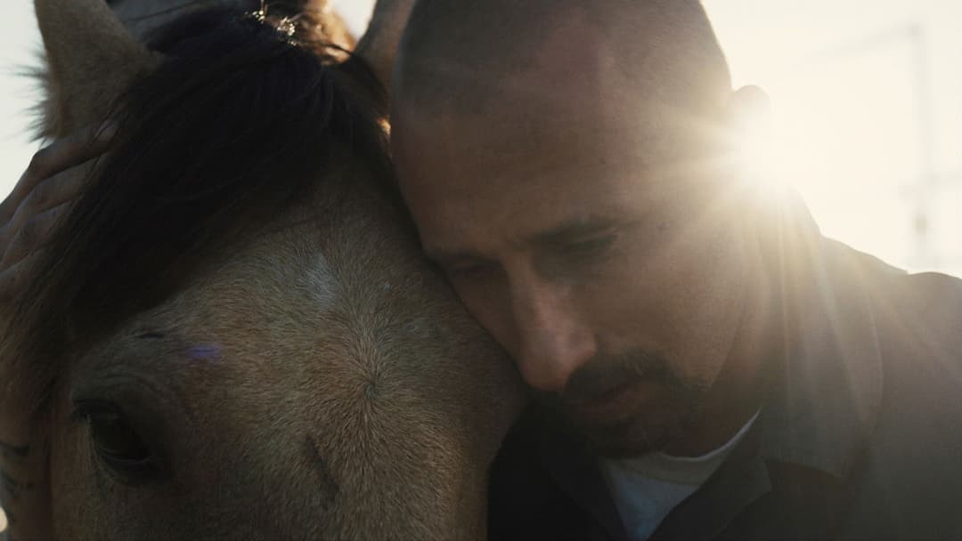 Мустанг backdrop 3