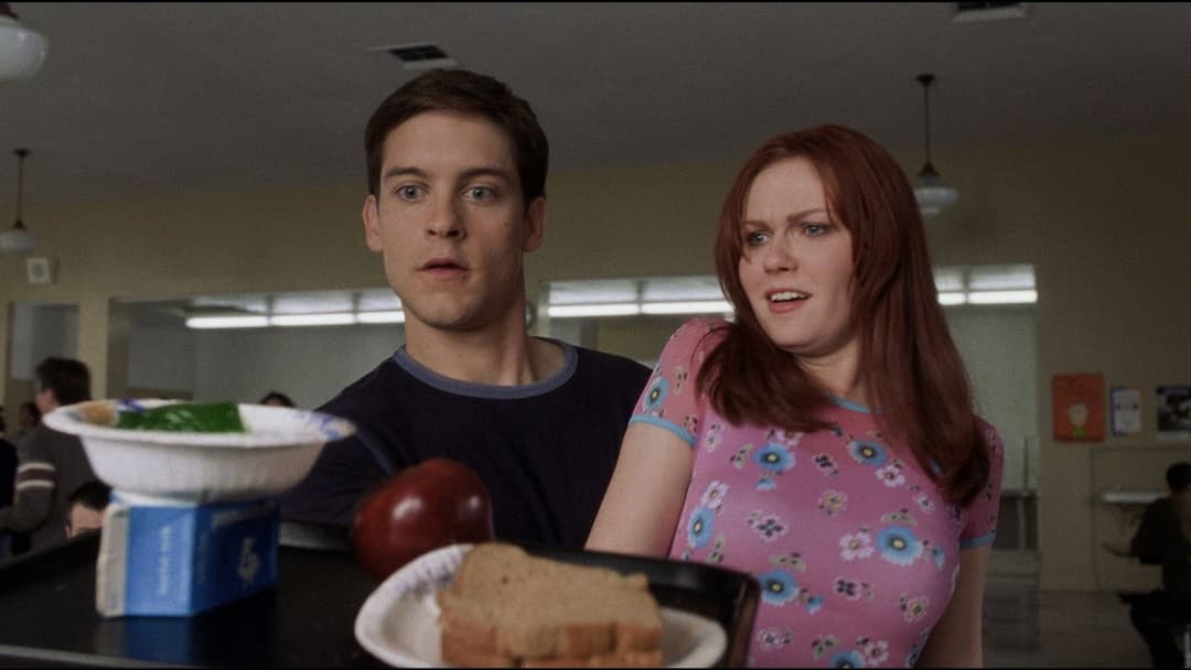 Spider-Man backdrop 18