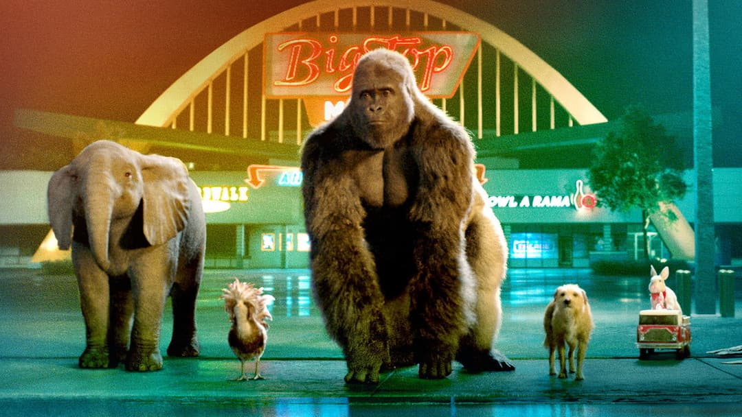 Айван, єдиний і неповторний backdrop 4