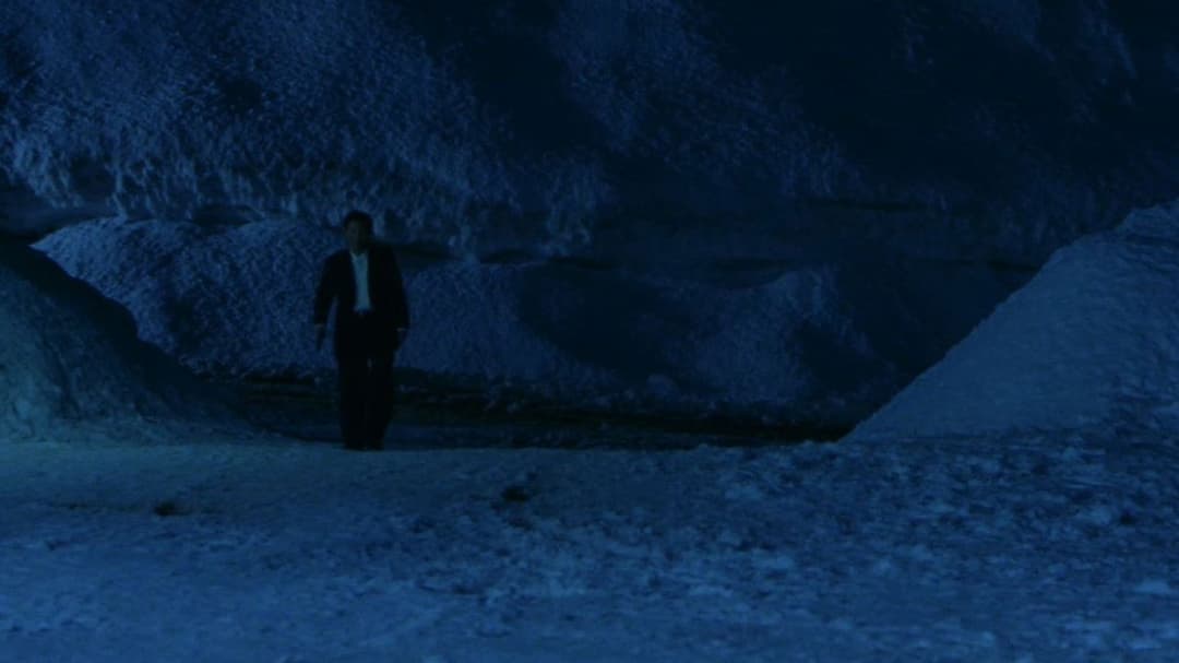 Hana-bi - Feuerblume backdrop 7