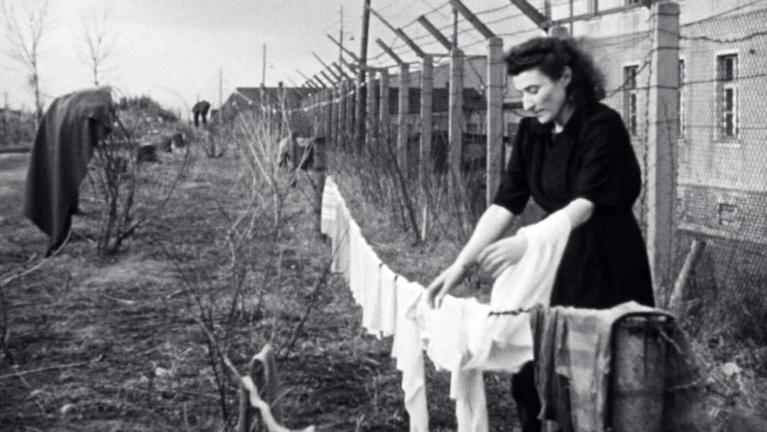 Les survivants, l'impossible départ après la Shoah backdrop 2