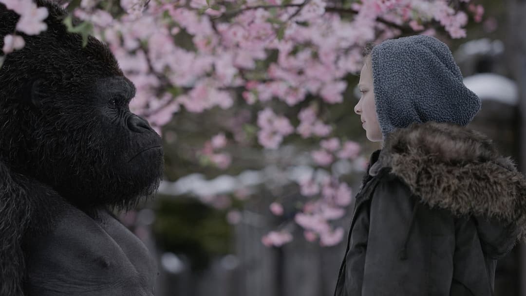 Planet der Affen - Survival backdrop 9