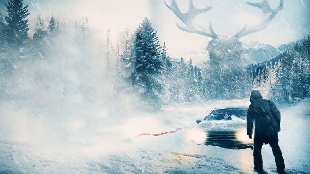 Cold Meat backdrop 5