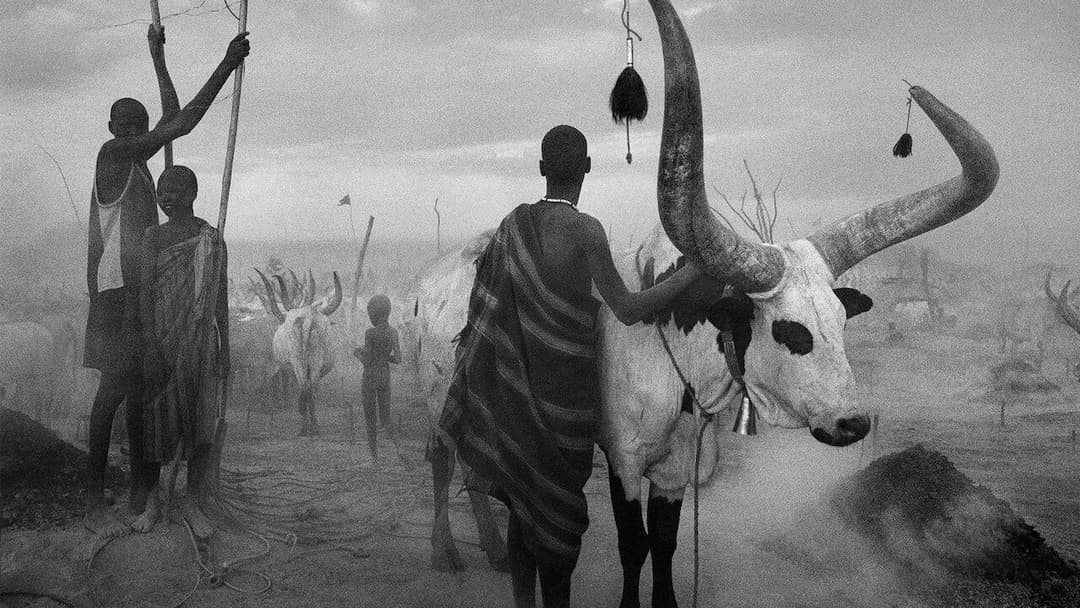 Das Salz der Erde backdrop 7