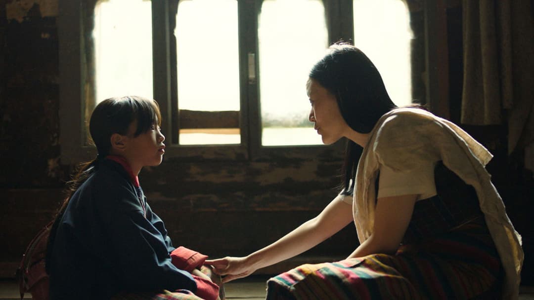 Was will der Lama mit dem Gewehr? backdrop 8