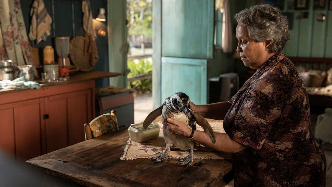 Мій друг пінгвін backdrop 8