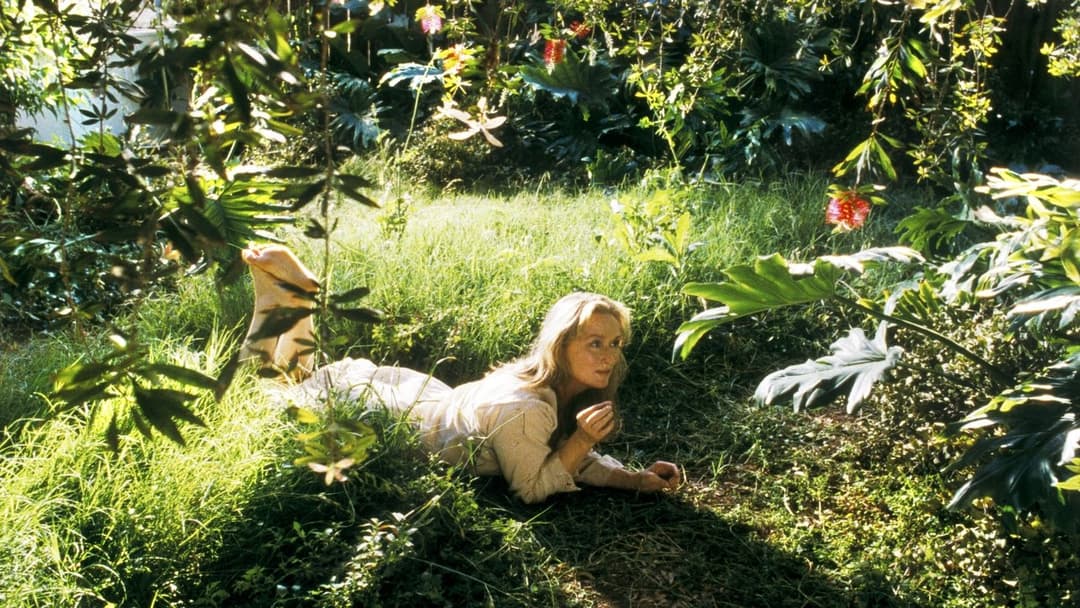 Адаптація. backdrop 2