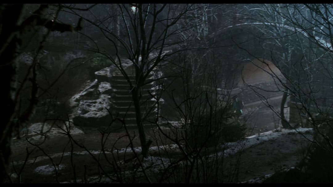 Сам удома 2: Загублений у Нью-Йорку backdrop 7