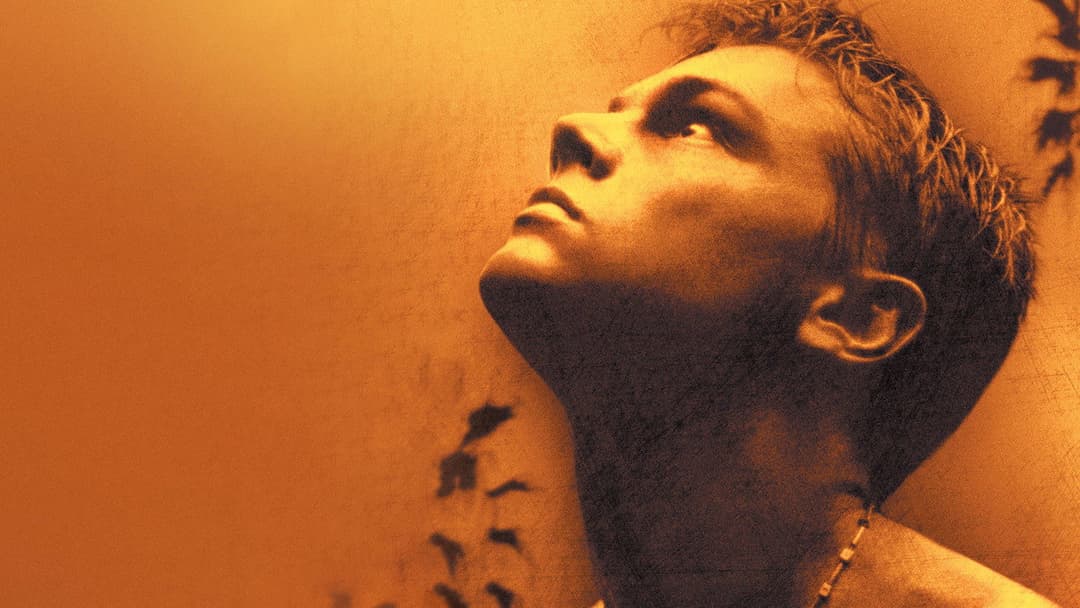 The Beach backdrop 5