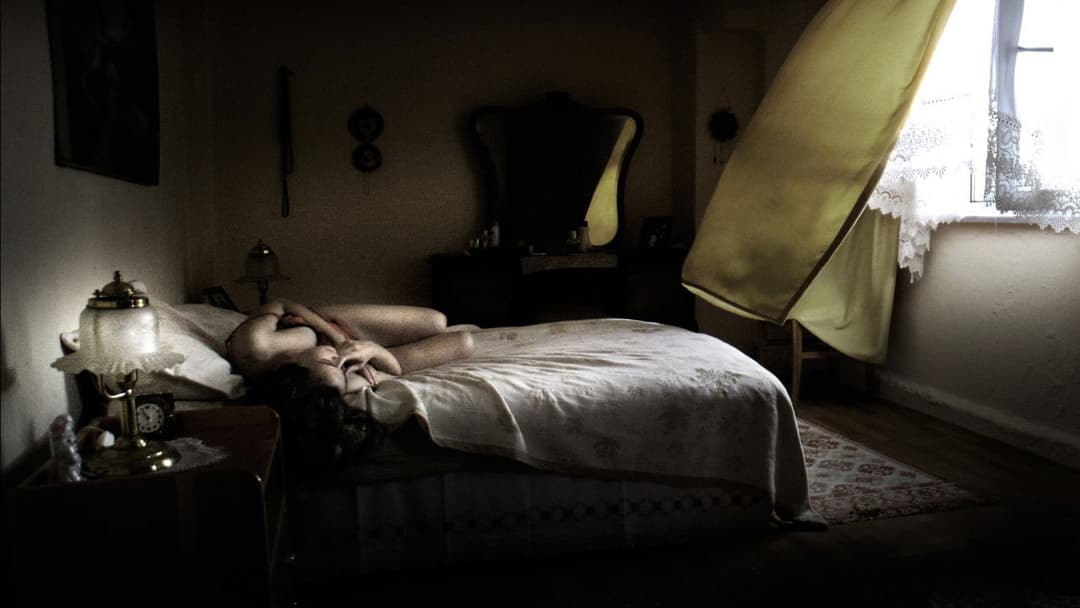 Üç maymun backdrop 3