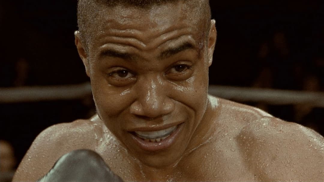 Fäuste - Du musst um dein Recht kämpfen backdrop 10