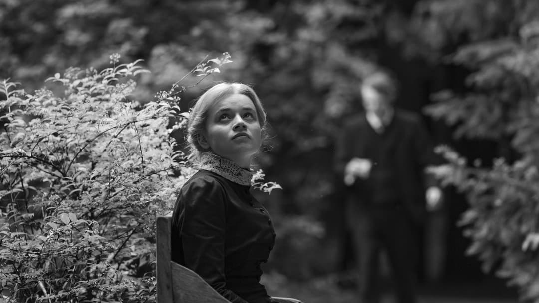 Silent Friend backdrop 6