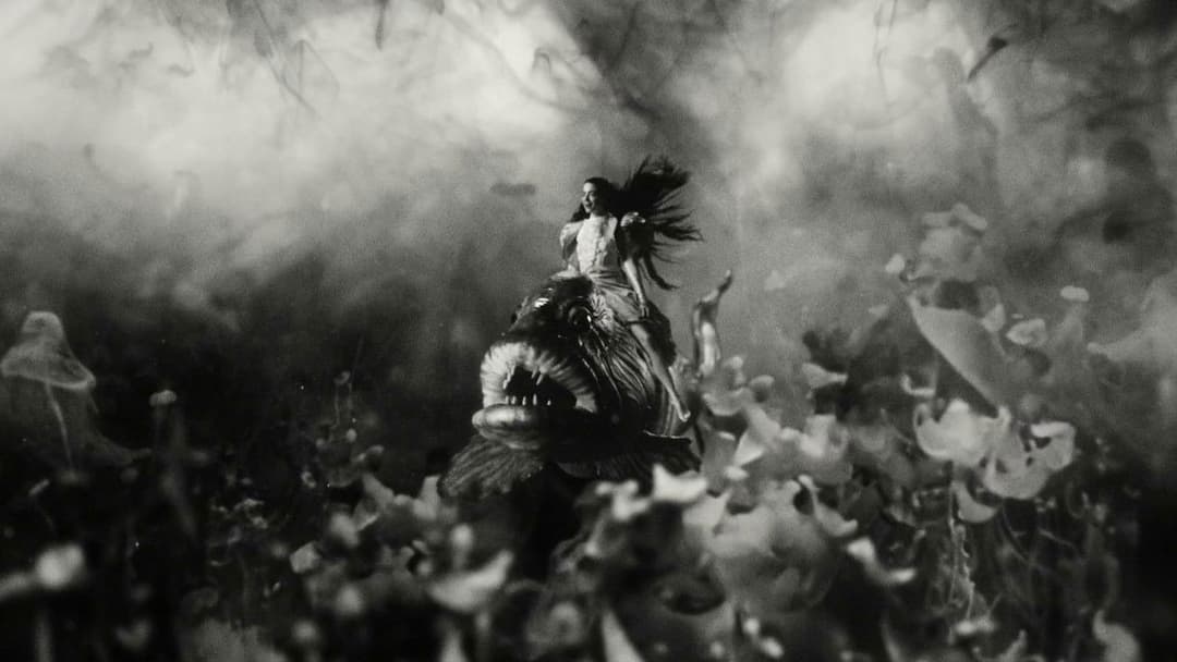 Poor Things backdrop 14