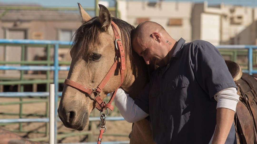 Мустанг backdrop 6