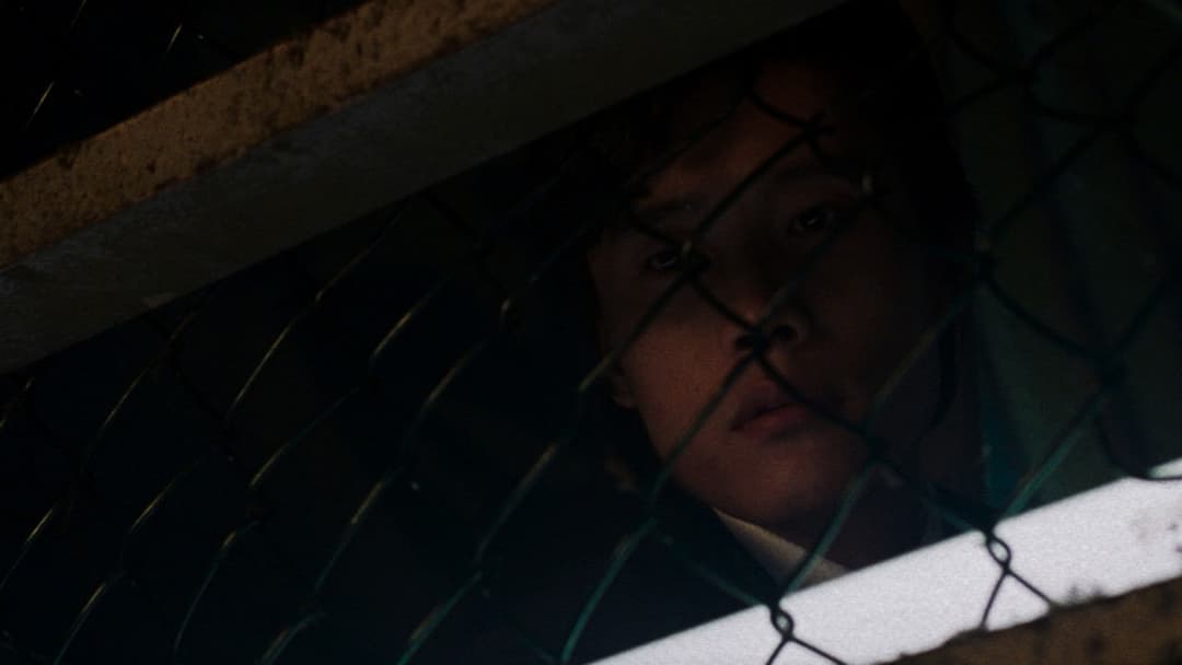 Гірко-солодкий присмак життя backdrop 12