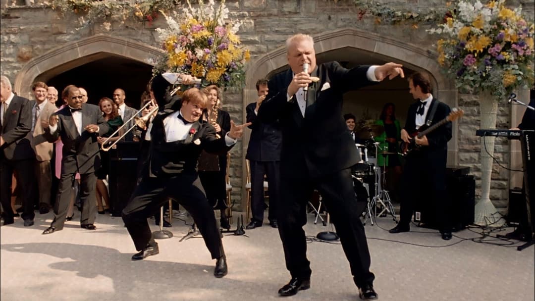 Tommy Boy - Durch dick und dünn backdrop 17