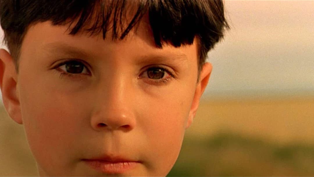 Schrei in der Stille backdrop 5