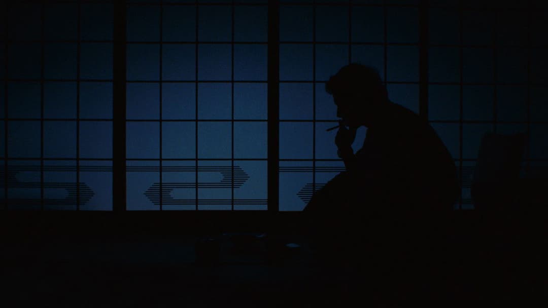 Один і два backdrop 14