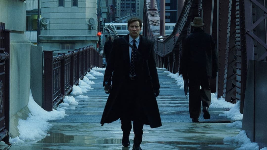 Синоптик backdrop 15