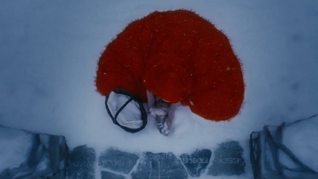 Червона Шапочка backdrop 16