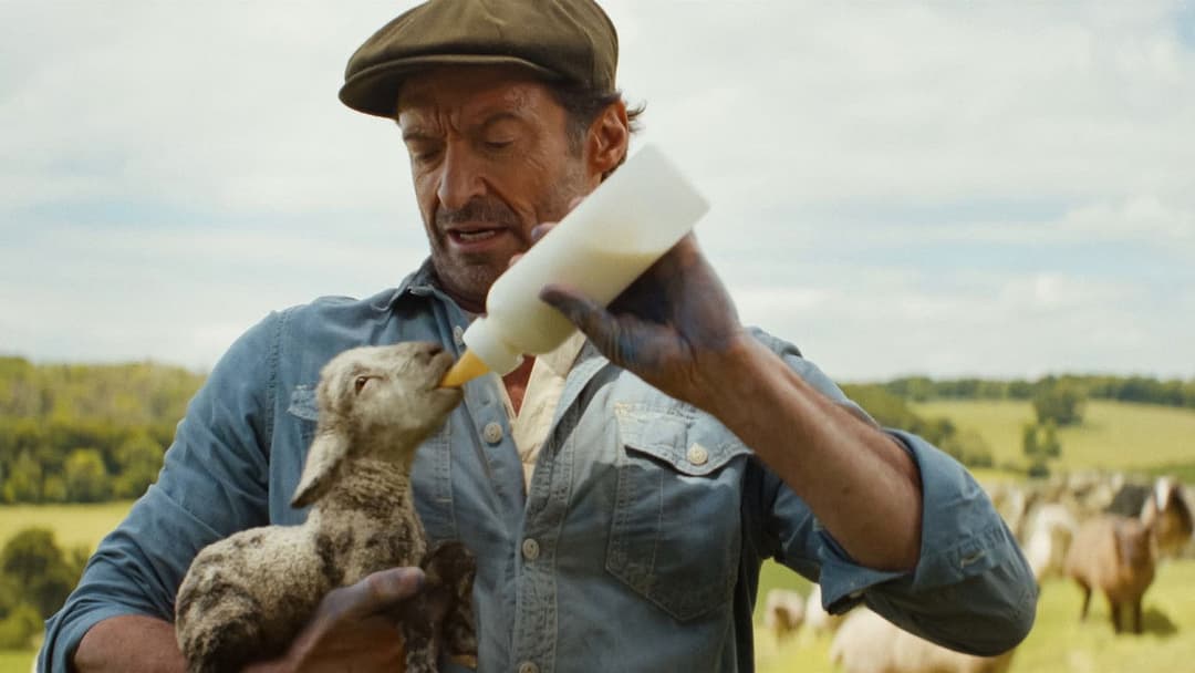 The Sheep Detectives