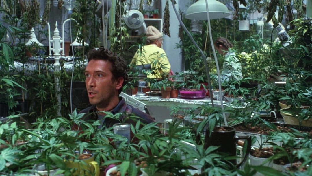 Saving Grace backdrop 2