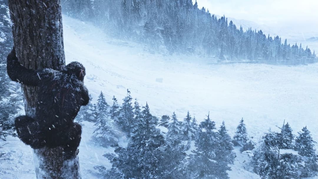 Planet der Affen - Survival backdrop 13