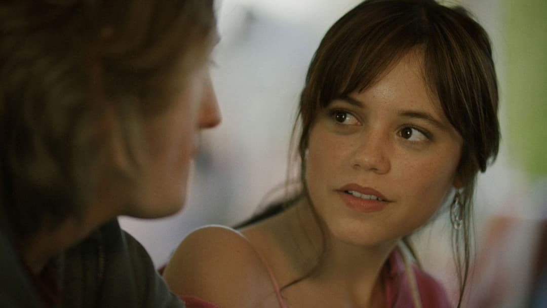 Winter Spring Summer or Fall backdrop 9