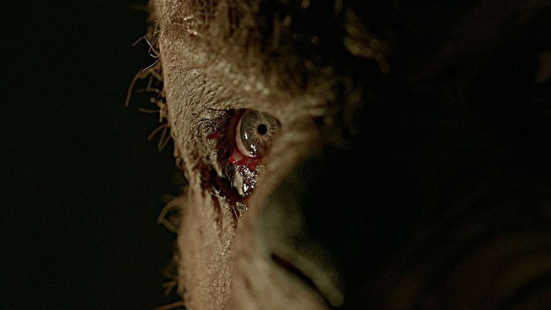 Winnie the Pooh: Blood and Honey 2 backdrop 18