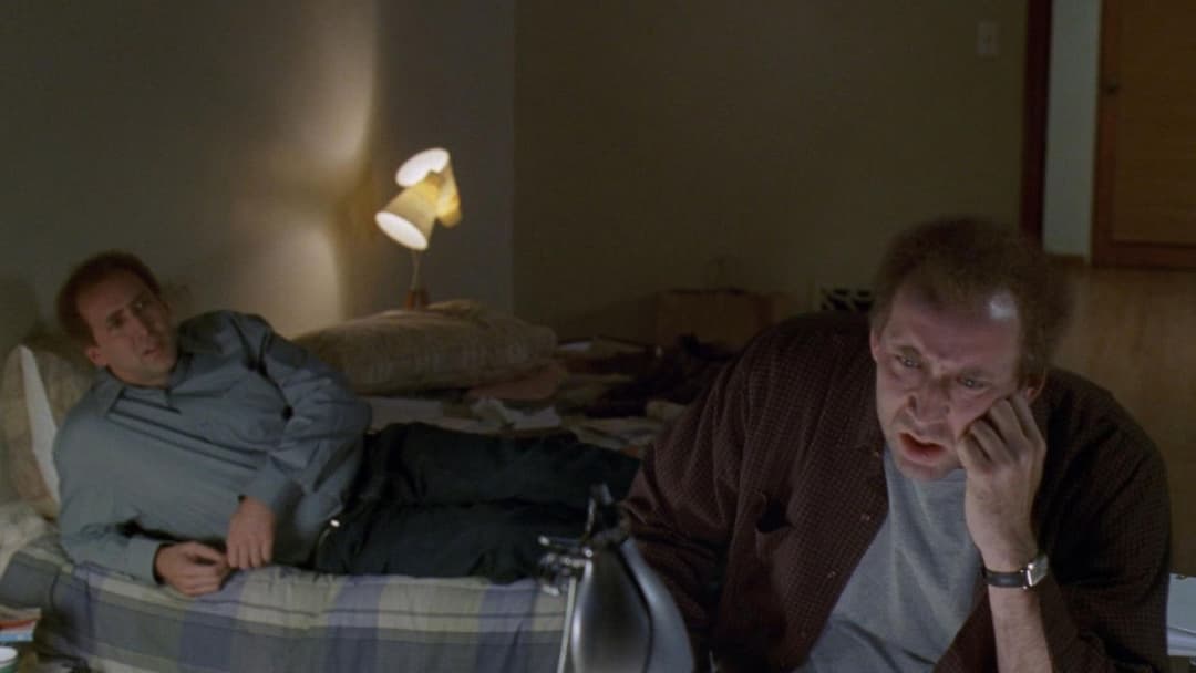 Адаптація. backdrop 20