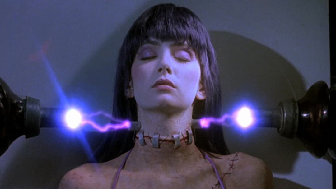 Frankenhooker backdrop 2