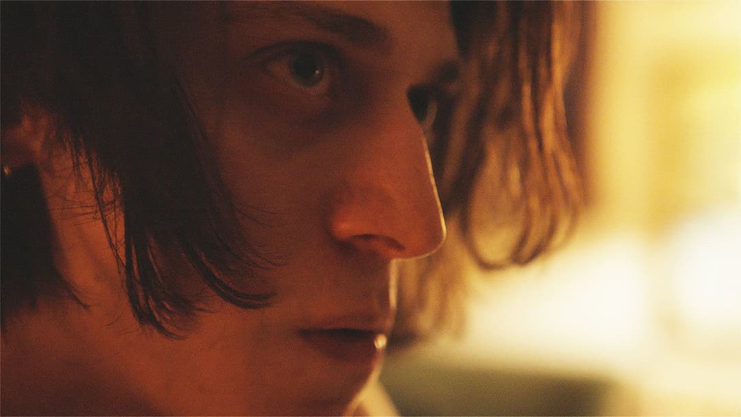 The Leaf Covered in Hoarfrost backdrop 18