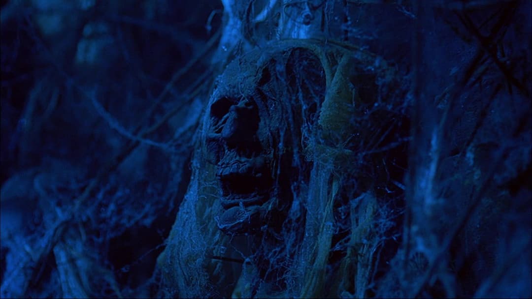 Будинок тисячі трупів backdrop 3