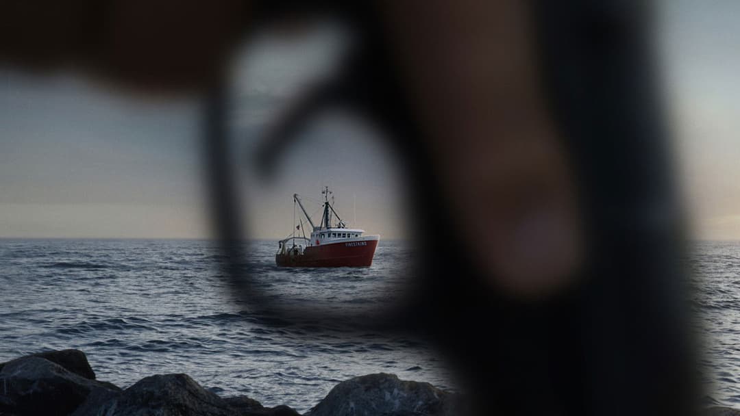 Найкращий вид backdrop 11