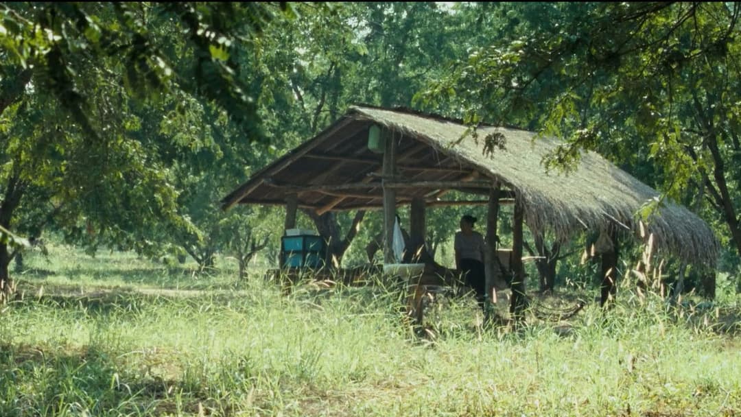 Дядечко Бунмі, який пам'ятає свої минулі життя backdrop 7