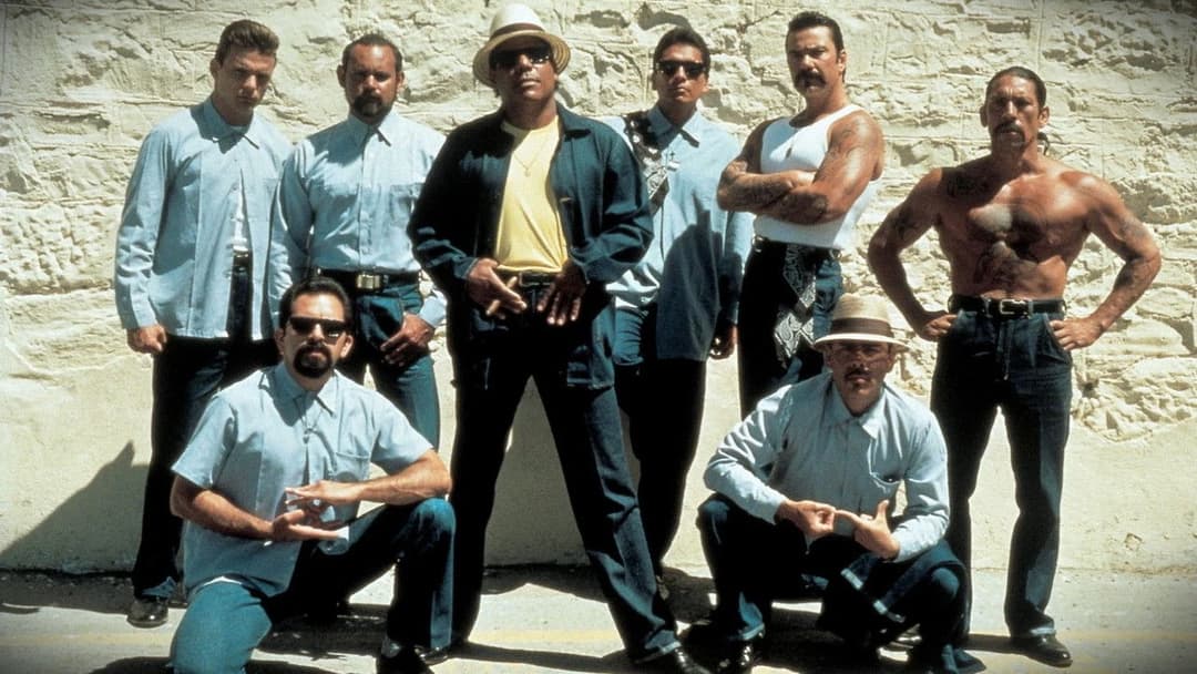 Blood In Blood Out - Verschworen auf Leben und Tod backdrop 20