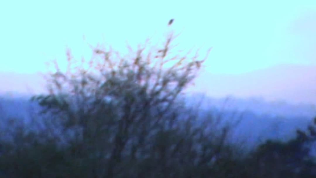 I BURNT MY BRAIN FOR YOU