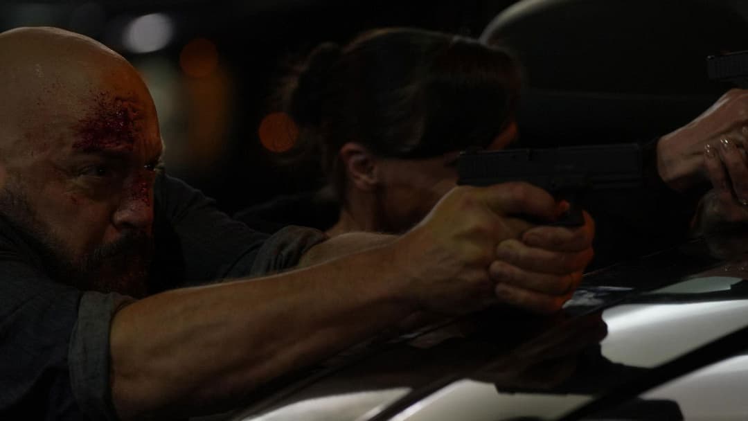 Стволи догори backdrop 9