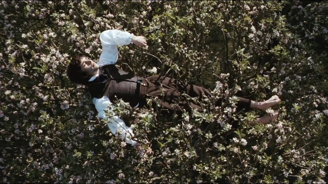 Bright Star backdrop 5