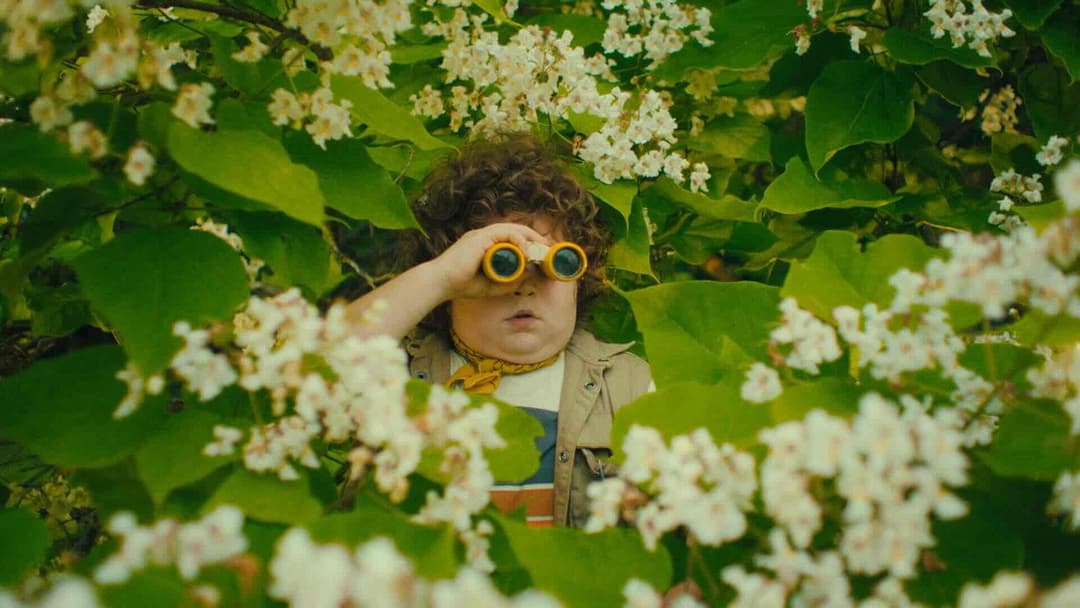 Extraordinary backdrop 2