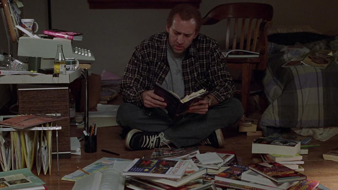 Адаптація. backdrop 7