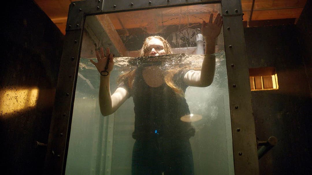 Follow Me backdrop 12