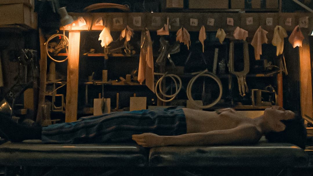 After Yang backdrop 20