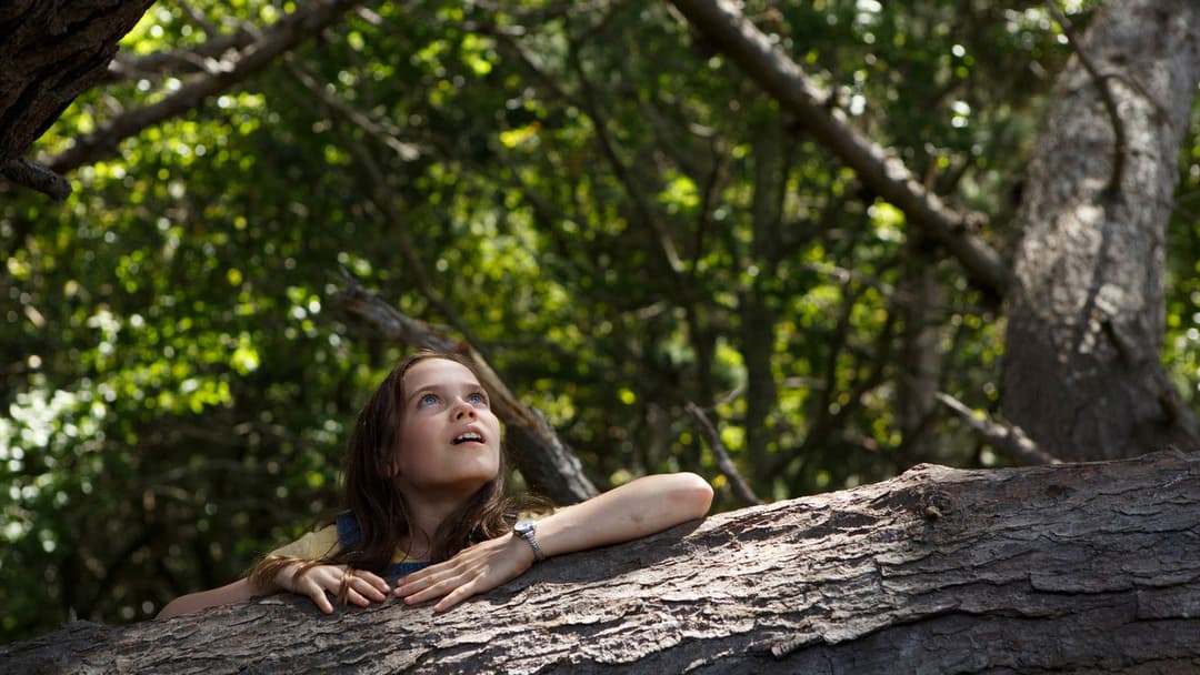 Дракон Піта backdrop 20