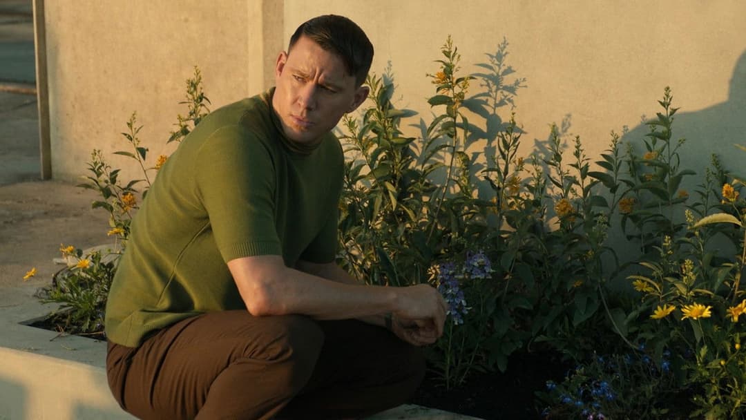 Забери мене на місяць backdrop 13