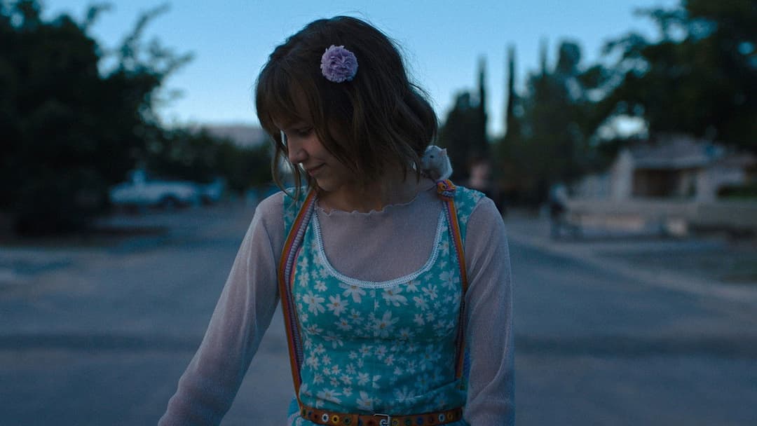 Stargirl: Anders ist völlig normal backdrop 3