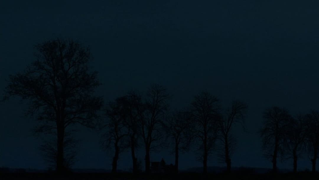 Гидка сестра backdrop 6