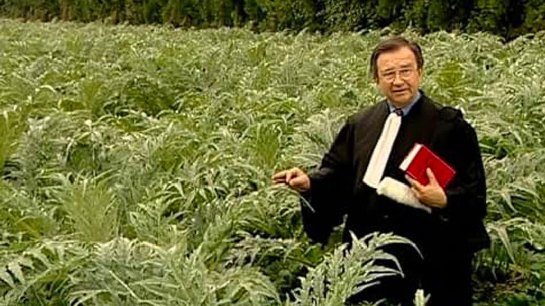 Збирачі та збирачка backdrop 2